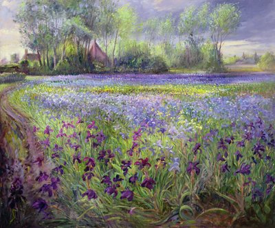 Pad langs het irisbloemenveld, 1991 door Timothy Easton
